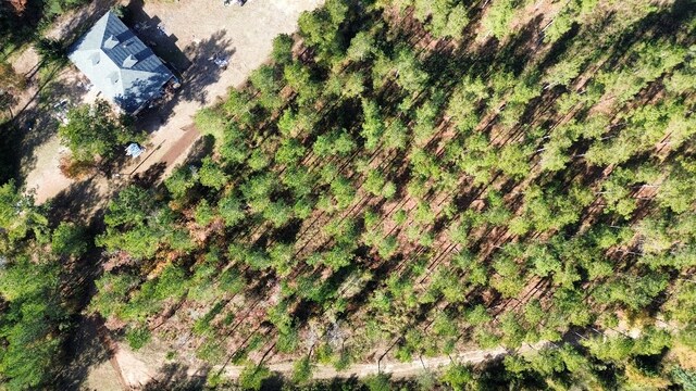 0 Bruner Pond Rd, Ashford, AL 36320 - photo 17