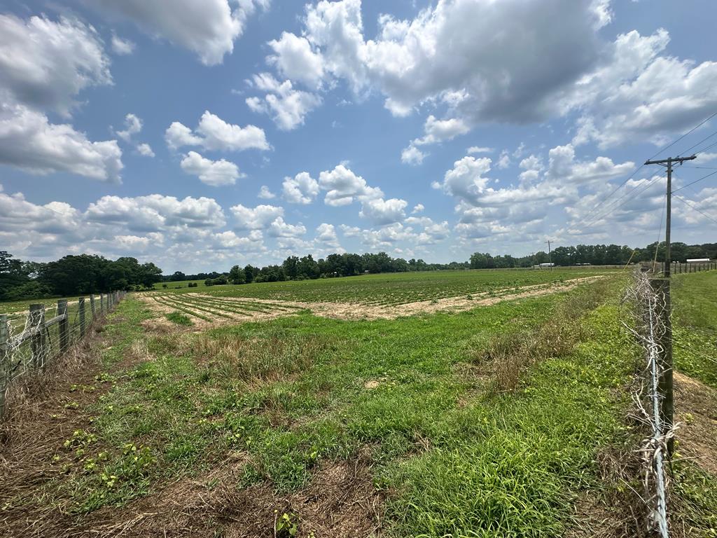 12ACRESLOT8 J Saunders, Dothan, AL 36305