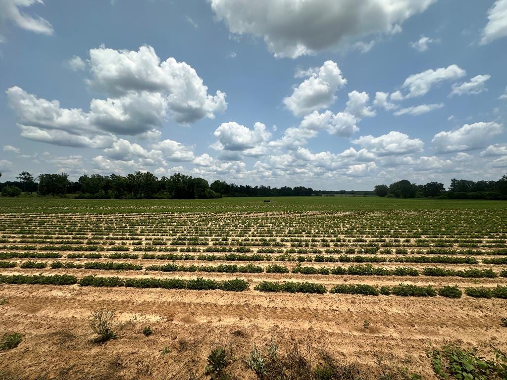 12ACRESLOT8 J Saunders, Dothan, AL 36305