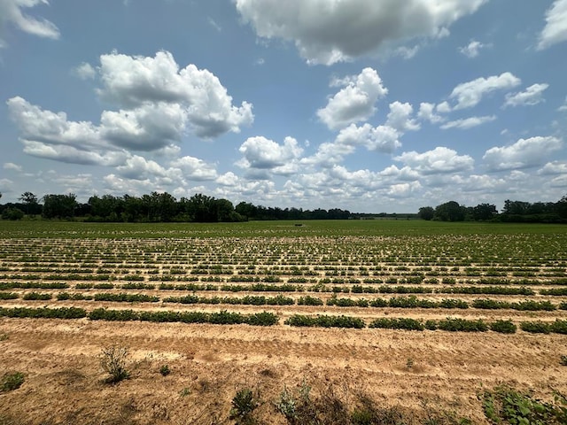 12ACRESLOT8 J Saunders, Dothan, AL 36305