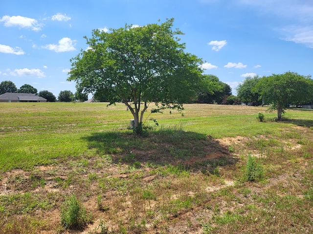 Listing photo 3 for LOT10 County Road 49, Headland AL 36345