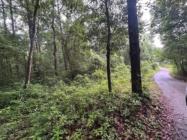 0 Holmes Rd, Newton, AL 36352