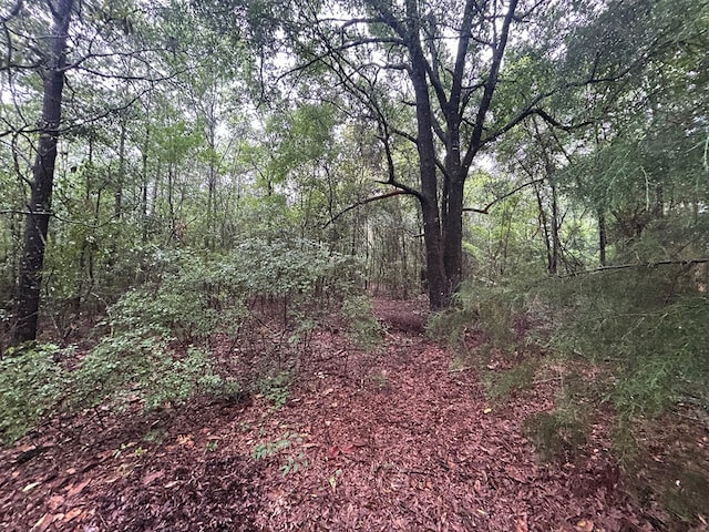0 Holmes Rd, Newton, AL 36352