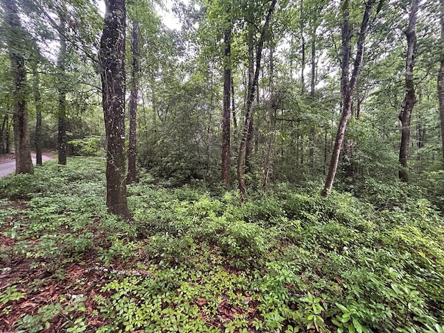 0 Holmes Rd, Newton, AL 36352