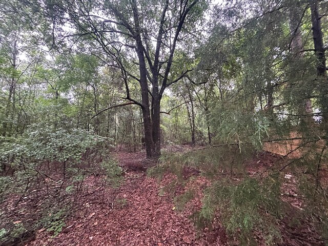 0 Holmes Rd, Newton, AL 36352