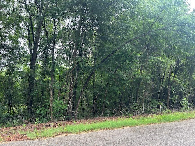 0 Holmes Rd, Newton, AL 36352