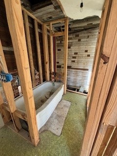 bathroom featuring a bathing tub