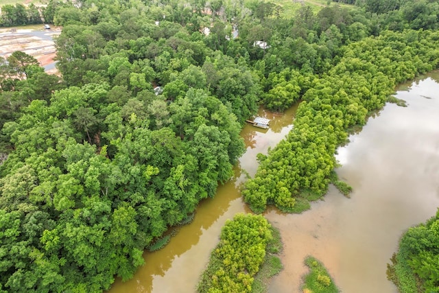 8165 County Road 97, Abbeville, AL 36310 - bird's eye view of a large body of water