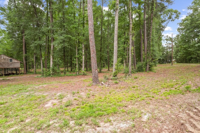 8165 County Road 97, Abbeville, AL 36310 - view of yard