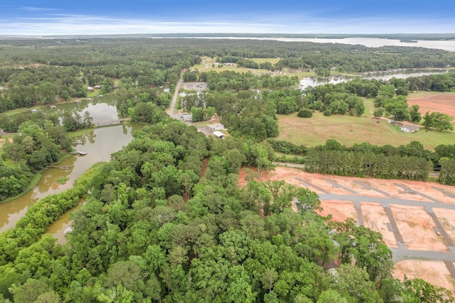 8165 County Road 97, Abbeville, AL 36310 - aerial view of property and surrounding area featuring a large body of water and a forest