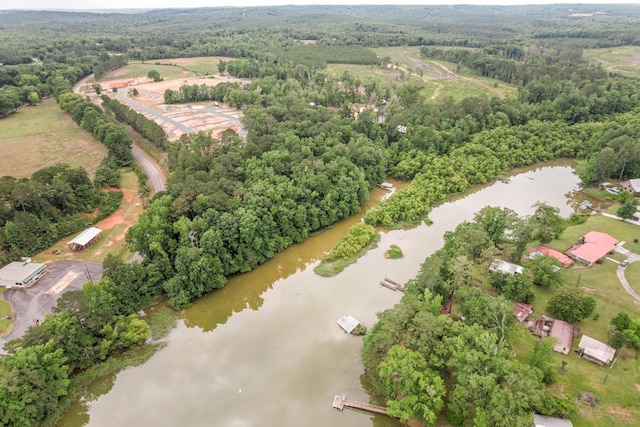 8165 County Road 97, Abbeville, AL 36310 - aerial overview of property's location featuring a large body of water and a heavily wooded area