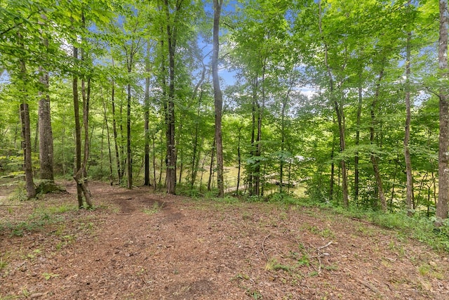 8165 County Road 97, Abbeville, AL 36310 - view of local wilderness
