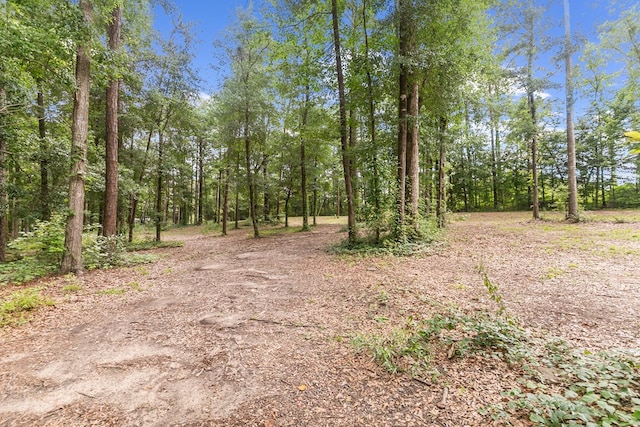 8165 County Road 97, Abbeville, AL 36310 - view of tree filled area