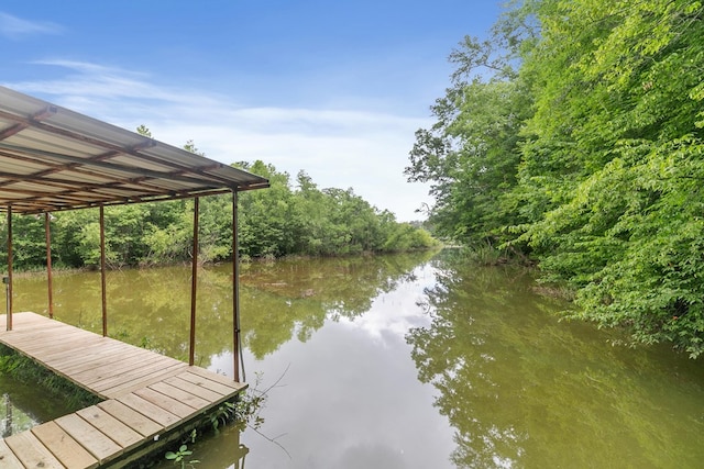 8165 County Road 97, Abbeville, AL 36310 - dock area with a water view