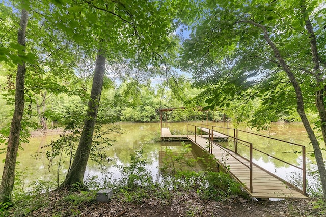 8165 County Road 97, Abbeville, AL 36310 - dock area with a water view