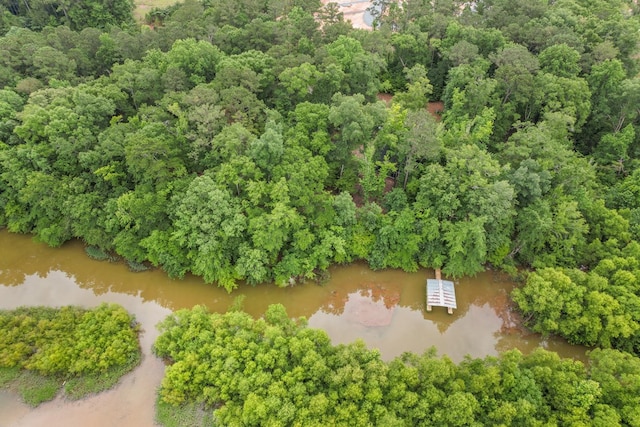 8165 County Road 97, Abbeville, AL 36310 - drone / aerial view of a large body of water and a heavily wooded area