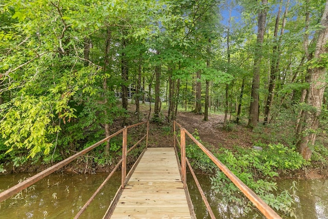 8165 County Road 97, Abbeville, AL 36310 - view of dock
