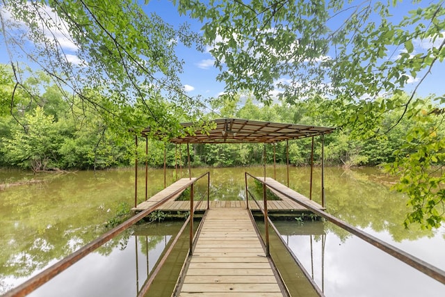 8165 County Road 97, Abbeville, AL 36310 - dock featuring a water view