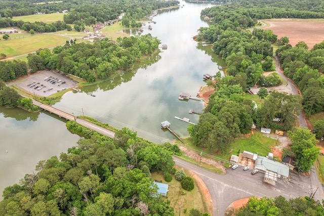 8165 County Road 97, Abbeville, AL 36310 - bird's eye view of a large body of water and a tree filled landscape