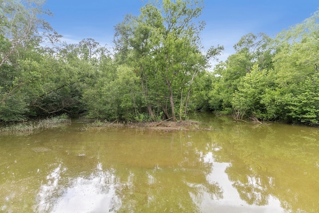 8165 County Road 97, Abbeville, AL 36310 - water view featuring a forest