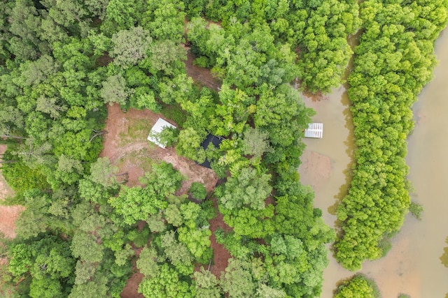 8165 County Road 97, Abbeville, AL 36310 - view of property location