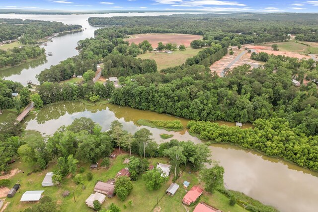 8165 County Road 97, Abbeville, AL 36310 - bird's eye view of a large body of water and a forest
