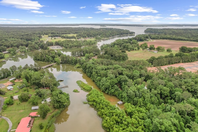 8165 County Road 97, Abbeville, AL 36310 - drone / aerial view of a large body of water and a forest