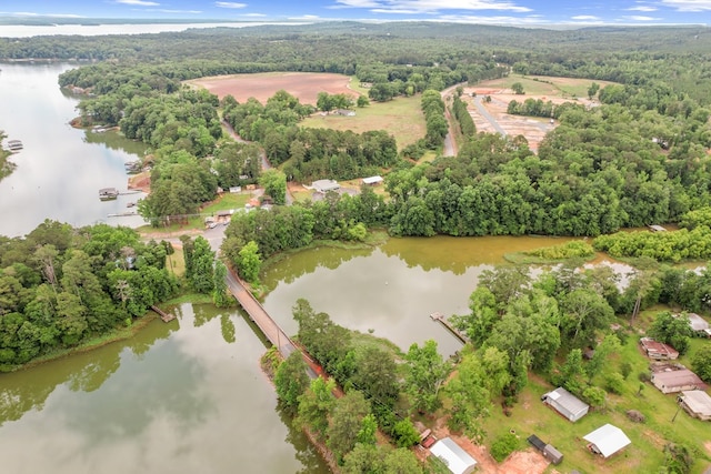 8165 County Road 97, Abbeville, AL 36310 - drone / aerial view of a forest and a nearby body of water