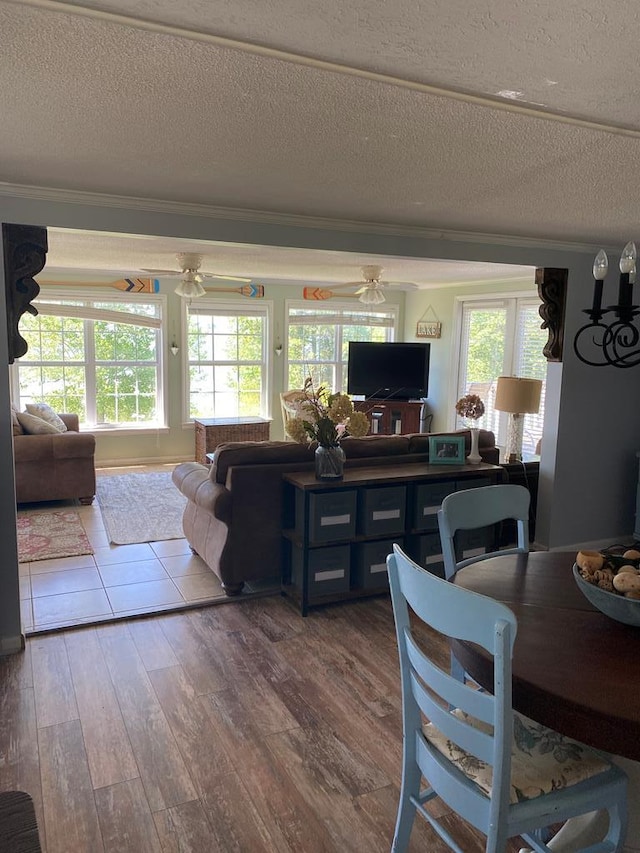 living area with plenty of natural light, ceiling fan, and hardwood / wood-style flooring