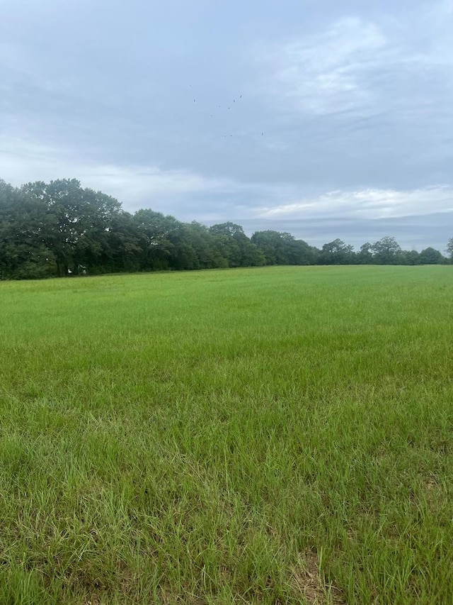 0 Emory Boyd Cir, Clayton, AL 36072