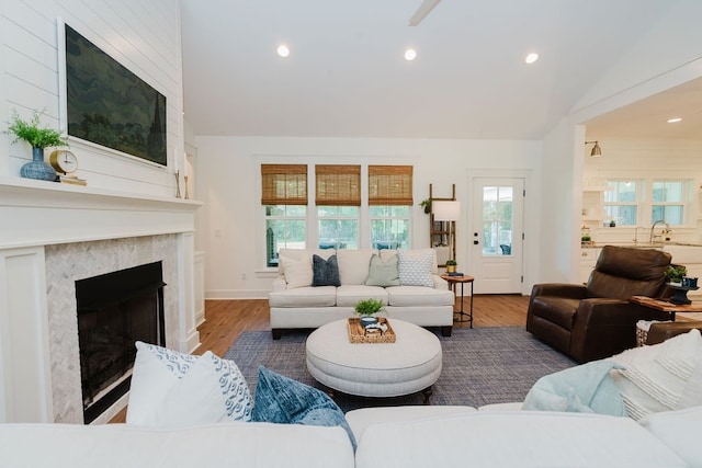 4672 County Road 606, Enterprise, AL 36330 - living room featuring lofted ceiling, plenty of natural light, a premium fireplace, wood finished floors, and recessed lighting