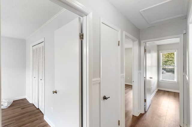 hallway featuring crown molding, dark hardwood / wood-style flooring, and a textured ceiling