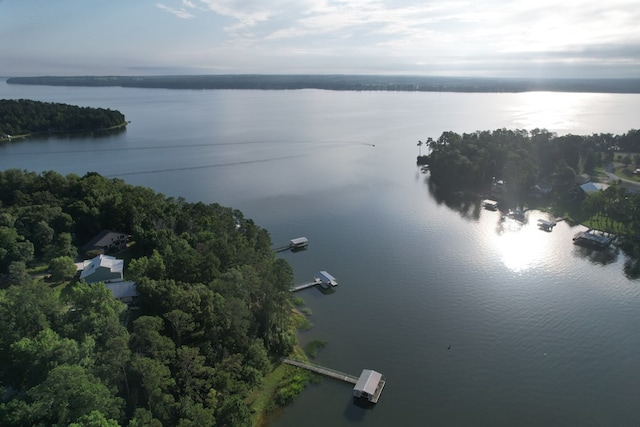 683 B Calhoun Dr, Abbeville, AL 36310 - aerial view of property and surrounding area with a large body of water and a heavily wooded area
