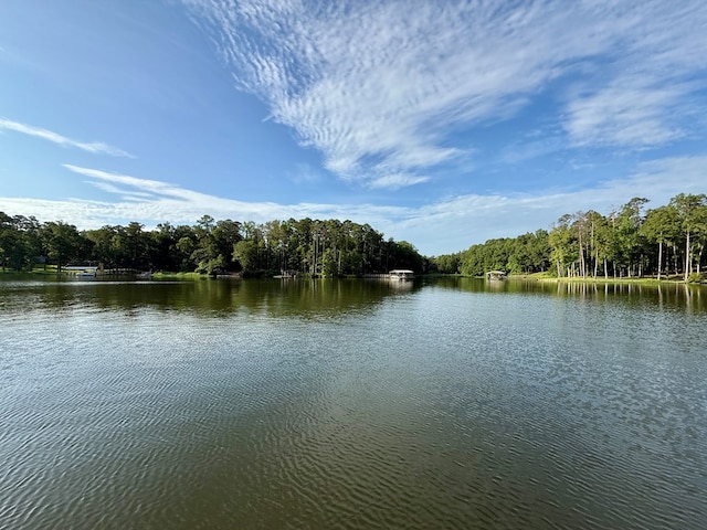 683 B Calhoun Dr, Abbeville, AL 36310 - water view with a heavily wooded area