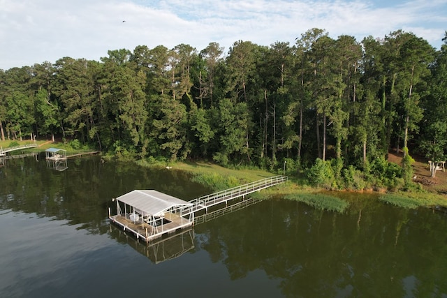 683 B Calhoun Dr, Abbeville, AL 36310 - dock area with a water view and a forest view