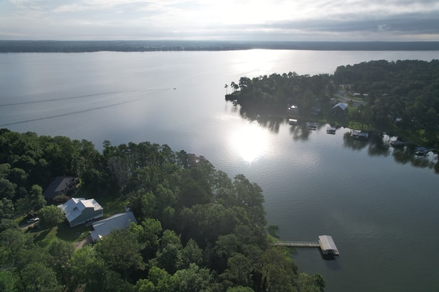 683 B Calhoun Dr, Abbeville, AL 36310 - aerial overview of property's location with a large body of water and a heavily wooded area