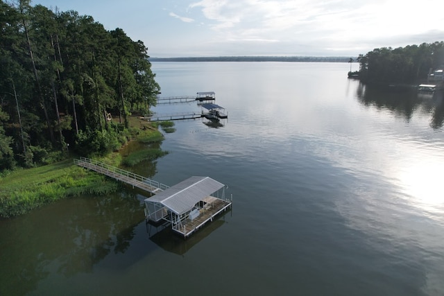 683 B Calhoun Dr, Abbeville, AL 36310 - water view with a floating dock