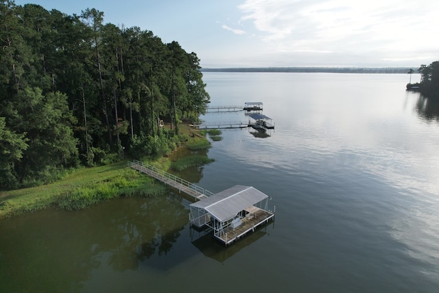 683 B Calhoun Dr, Abbeville, AL 36310 - water view with a floating dock and boat lift