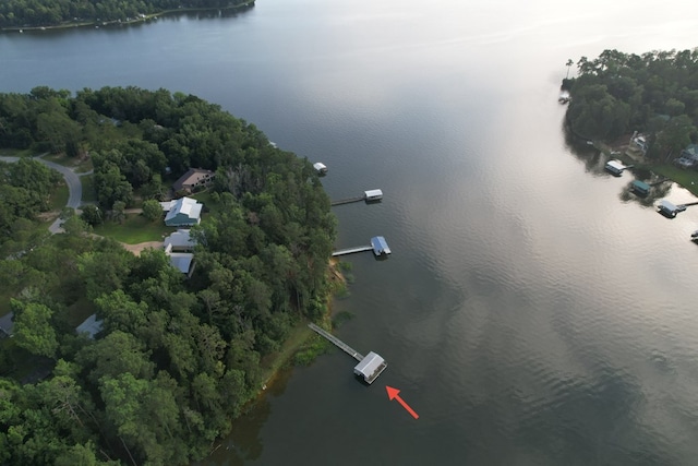 683 B Calhoun Dr, Abbeville, AL 36310 - aerial view of a large body of water