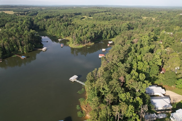 683 B Calhoun Dr, Abbeville, AL 36310 - aerial view of property's location featuring a forest and a nearby body of water