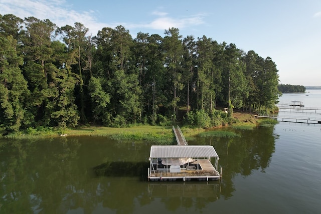 683 B Calhoun Dr, Abbeville, AL 36310 - dock area featuring a water view and a view of trees