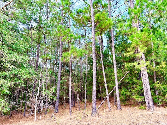 0 County Road 13, Headland, AL 36345 - photo 8