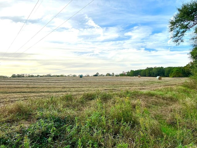 0 County Road 13, Headland, AL 36345 - photo 1