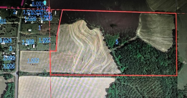 0 County Road 13, Headland, AL 36345 - photo 11