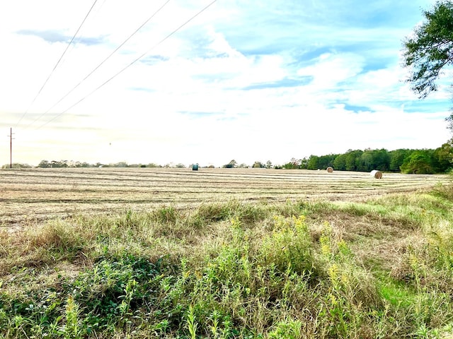 0 County Road 13, Headland, AL 36345 - photo 5