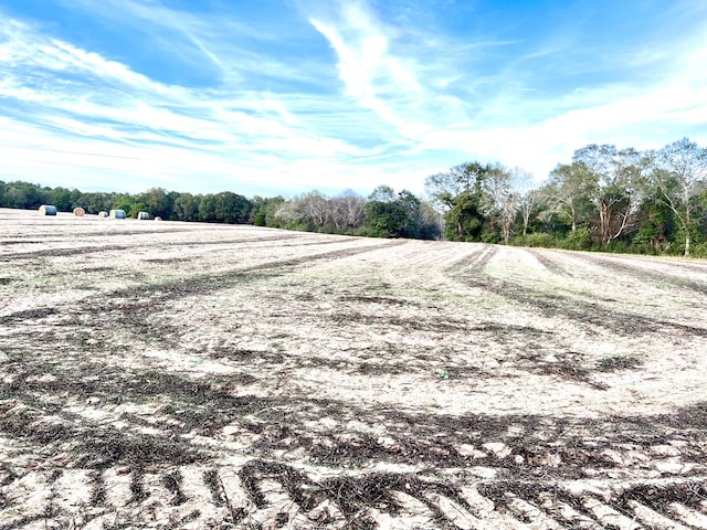 0 County Road 13, Headland, AL 36345 - photo 4