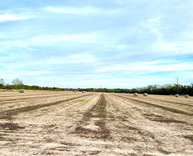 0 County Road 13, Headland, AL 36345 - photo 3