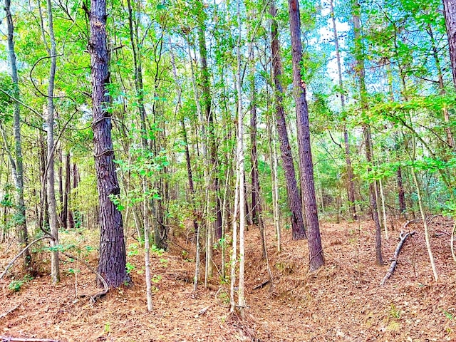 0 County Road 13, Headland, AL 36345 - photo 6