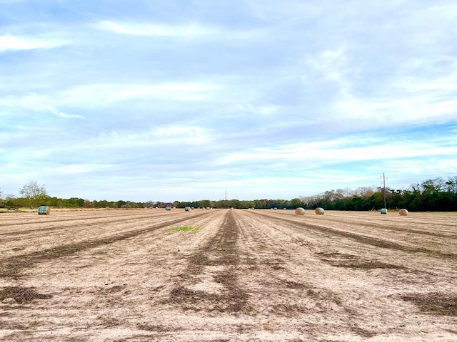 0 County Road 13, Headland, AL 36345 - photo 2