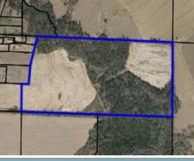 0 County Road 13, Headland, AL 36345 - photo 13